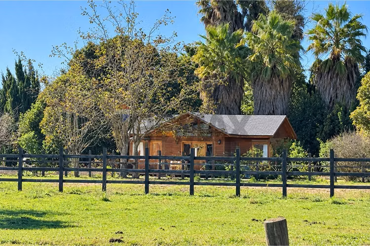 36 ha con potencial productivo y ecuestre.