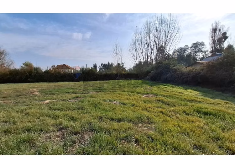 Venta de parcela 7.000 m², camino a palmilla - Imagen 13