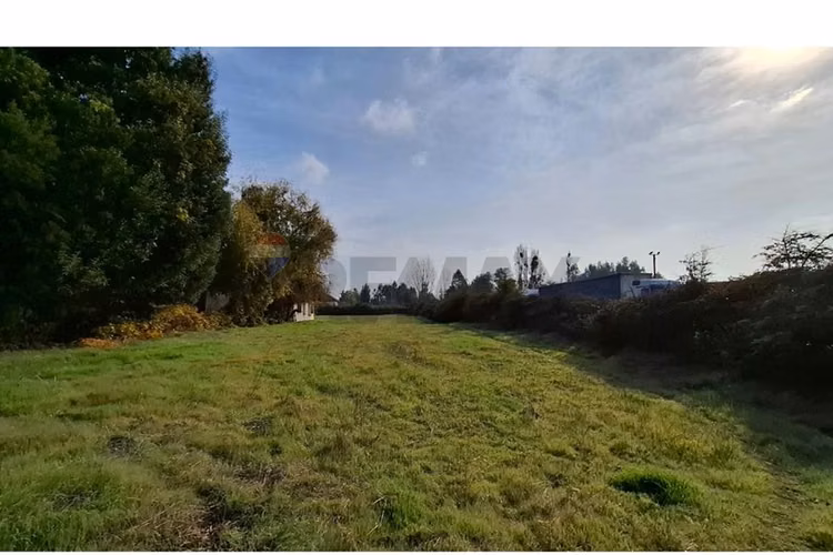 Venta de parcela 7.000 m², camino a palmilla - Imagen 8