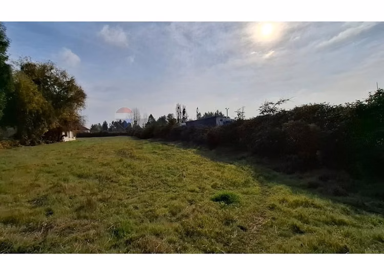 Venta de parcela 7.000 m², camino a palmilla - Imagen 9