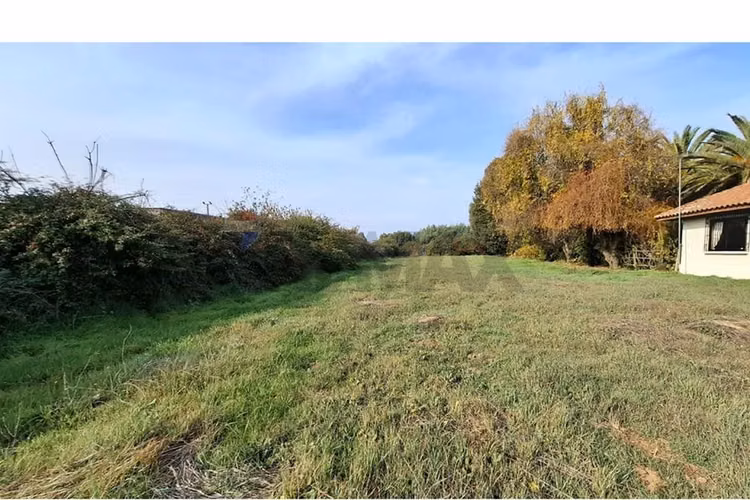 Venta de parcela 7.000 m², camino a palmilla - Imagen 5