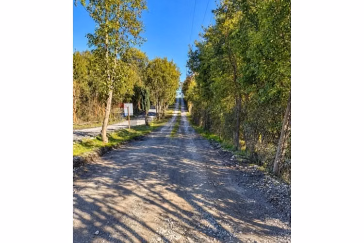 Calidad de vida en puerto varas 5000 m2 - Imagen 4