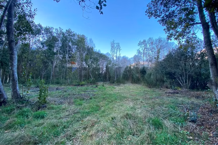 Venta parcela 5.000 m² con acceso a río, pucón - Imagen 4