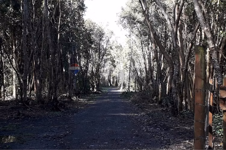 Venta parcela 5.000 m² con acceso a río, pucón - Imagen 19
