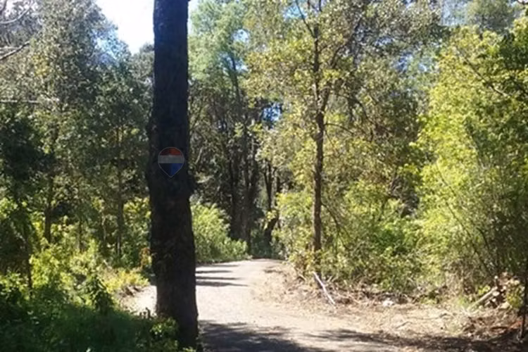 Venta parcela 5.000 m² con acceso a río, pucón - Imagen 20