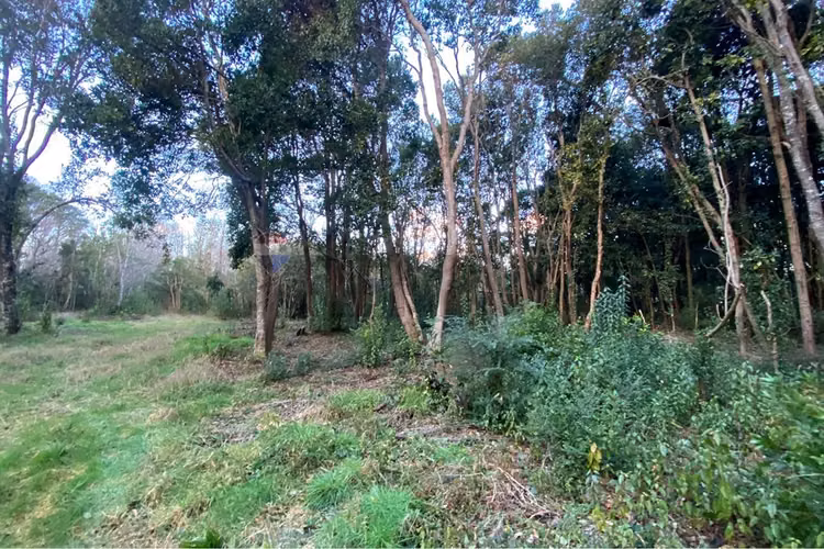 Venta parcela 5.000 m² con acceso a río, pucón - Imagen 8