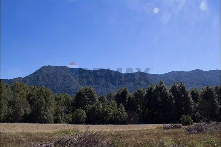Venta parcela 5.000 m² con acceso a río, pucón - Imagen 15