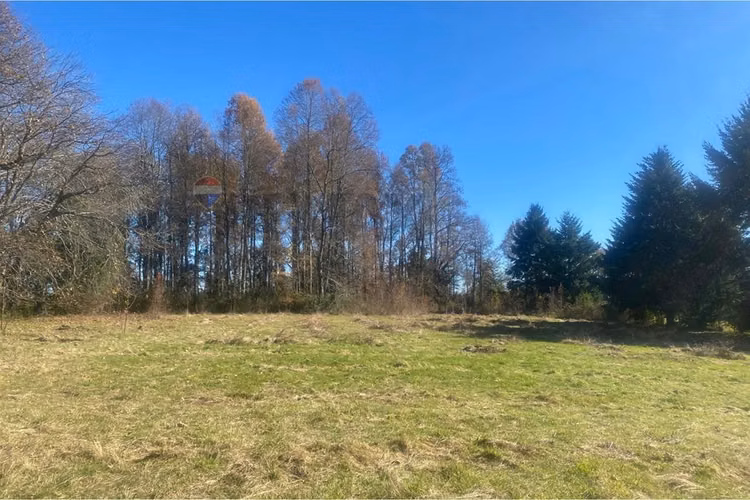 Venta de terreno 2,15 ha candelaria pucón - Imagen 20