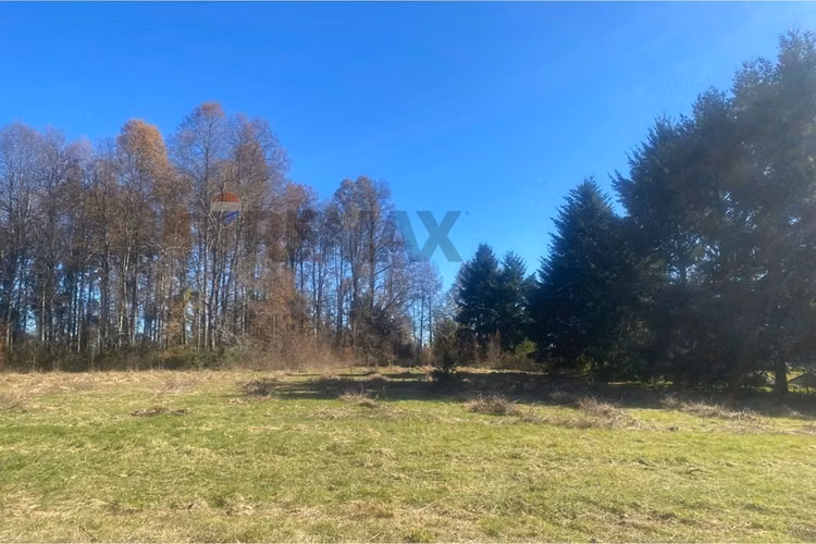 Venta de terreno 2,15 ha candelaria pucón - Imagen 8