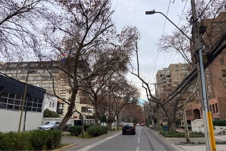 Oficina en venta en barrio el golf, las condes - Imagen 14
