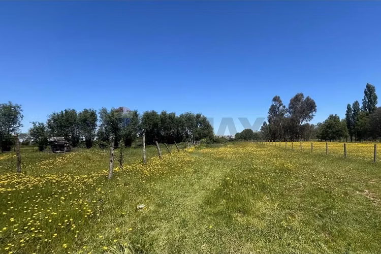 Gran parcela en longavi