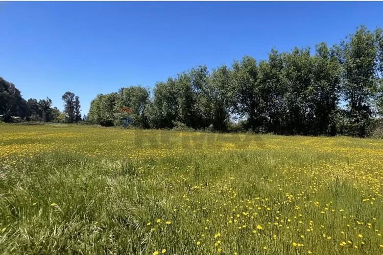 Gran parcela en longavi