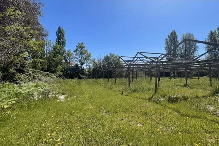 Gran parcela en longavi