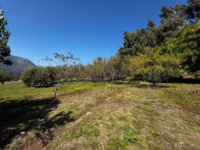 PARCELA CON CASAS , FRUTALES, PALMERAS, RIO  A 2 HRS DE STGO