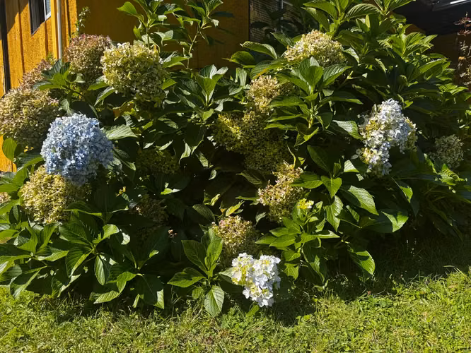 PARCELA CON CASAS , FRUTALES, PALMERAS, RIO  A 2 HRS DE STGO
