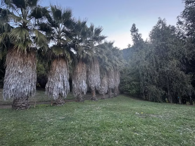 PARCELA CON CASAS , FRUTALES, PALMERAS, RIO  A 2 HRS DE STGO