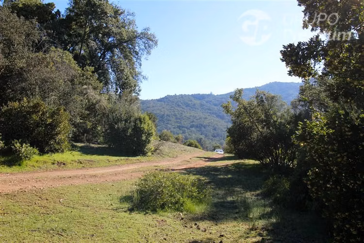 Parcela en venta en Quilpué - Imagen 17