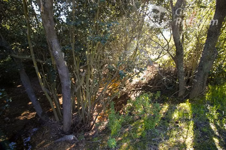 Parcela en venta en Quilpué - Imagen 4