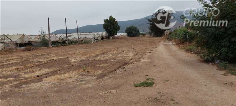 Sitio en venta en Limache