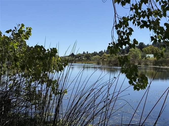 Parcela en venta en Quillón #137740