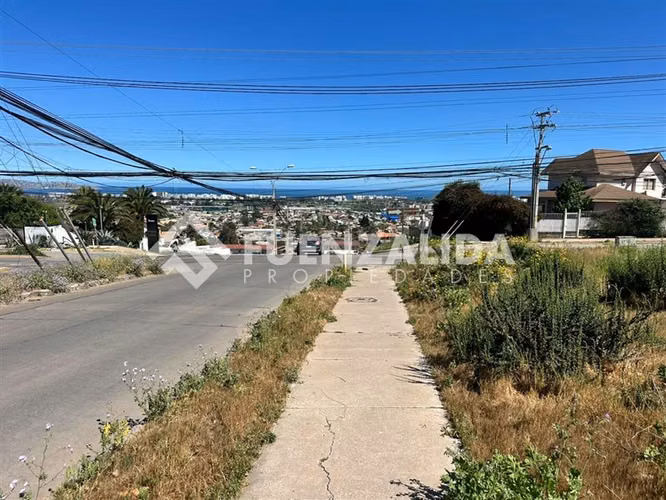 Sitio en venta en La Serena - Imagen 6