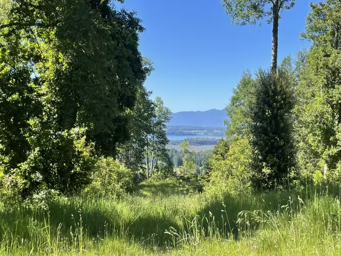 Parcelas en Panguipulli con Luz Agua Bosque - Imagen 7