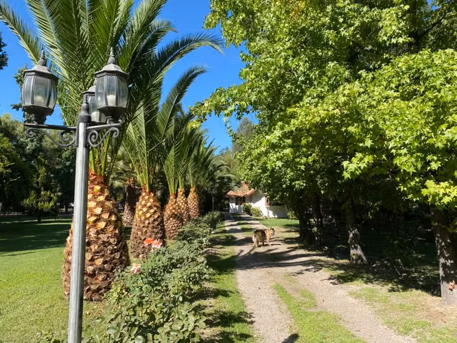 Centro de eventos y casa de huéspedes - San Esteban