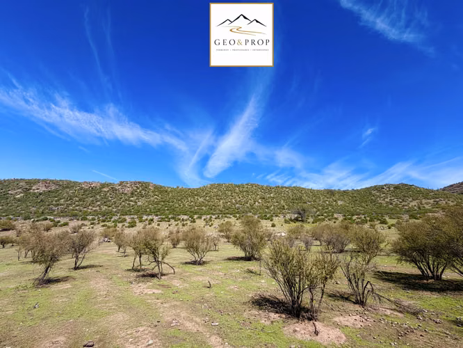 Predio Agricola 16.9 hec San Esteban Las Bandurrias