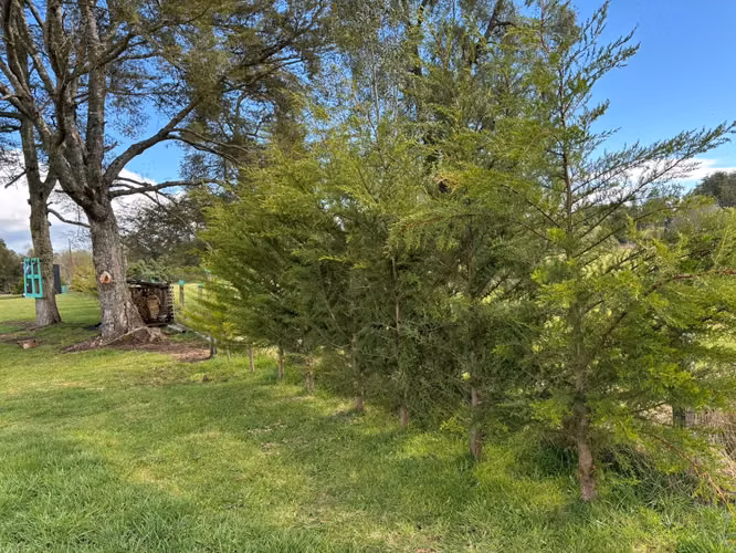 Acogedora casa con terreno 6.900 m2 con estero - Imagen 23