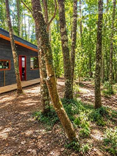Sitio en venta sector Loncotraro, Villarrica - Imagen 4
