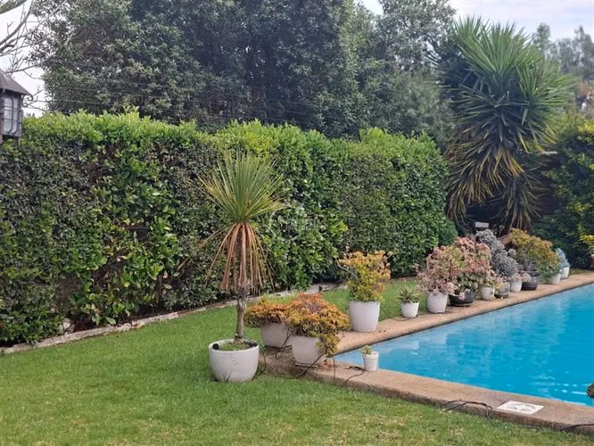 Casa en venta de 5 dorm. en Colina - Imagen 9