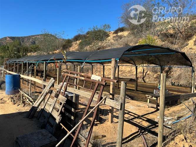 VENTA DE PARCELA EN VILLA ALEMANA EX FUNDO LOS ALMENDROS - Imagen 8