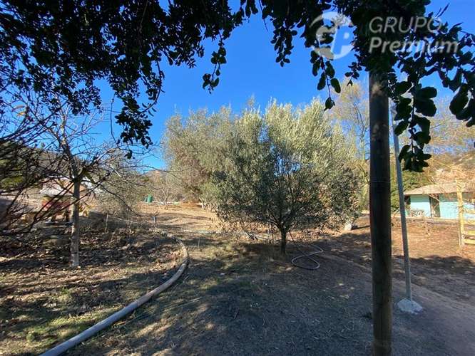 VENTA DE PARCELA EN VILLA ALEMANA EX FUNDO LOS ALMENDROS - Imagen 10