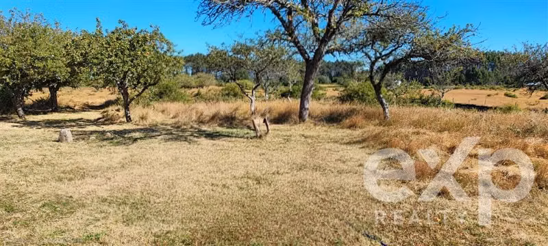 Agrícola de 2 hectáreas en venta en Maullín, inversión.