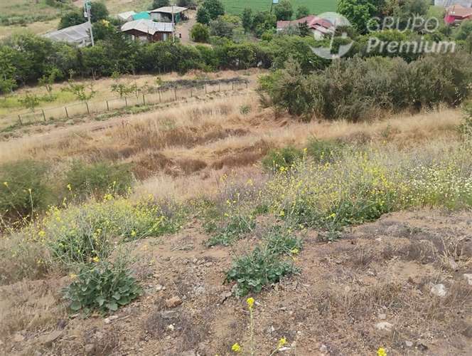 Parcela en venta en María Pinto