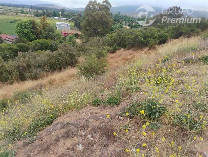Parcela en venta en María Pinto