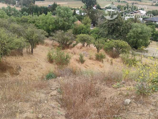 Parcela en venta en María Pinto