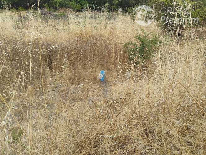 Parcela en venta en María Pinto