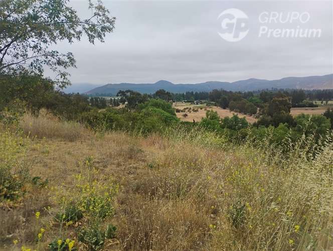 Parcela en venta en María Pinto