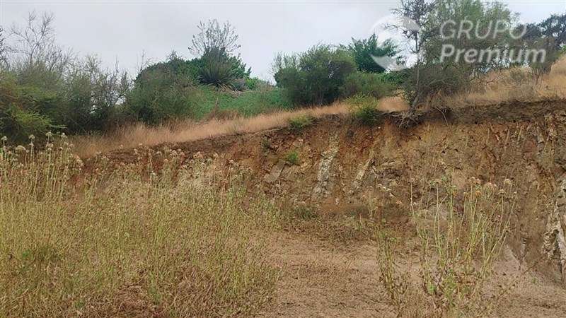 Parcela en venta en María Pinto