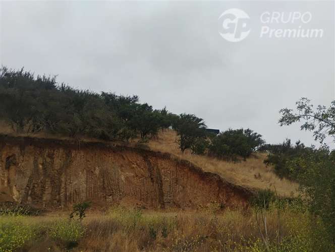 Parcela en venta en María Pinto