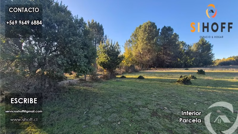 Se Vende Parcela de 6250 en Sector Tejeria, Comuna de Pinto