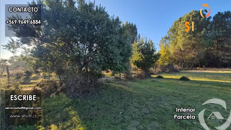 Se Vende Parcela de 6250 en Sector Tejeria, Comuna de Pinto