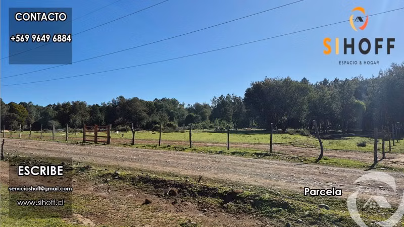 Se Vende Parcela Camino San Ignacio, Chillán - Imagen 14