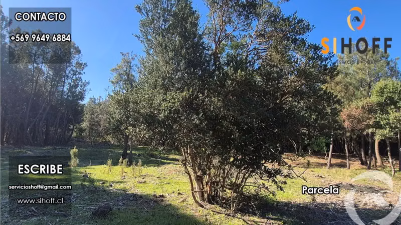 Se Vende Parcela Camino San Ignacio, Chillán - Imagen 19