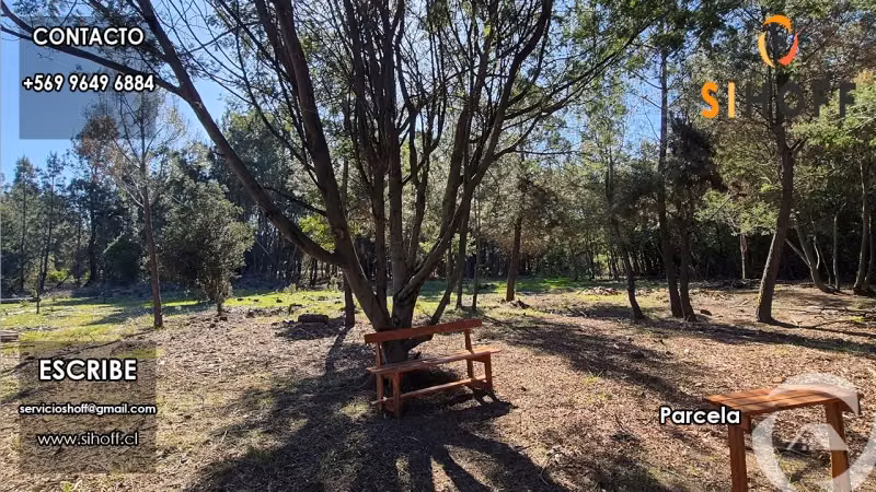 Se Vende Parcela Camino San Ignacio, Chillán - Imagen 17