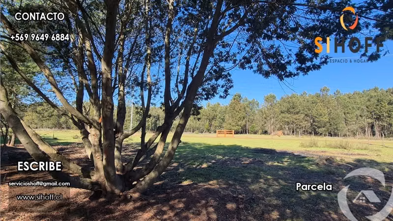 Se Vende Parcela Camino San Ignacio, Chillán - Imagen 18