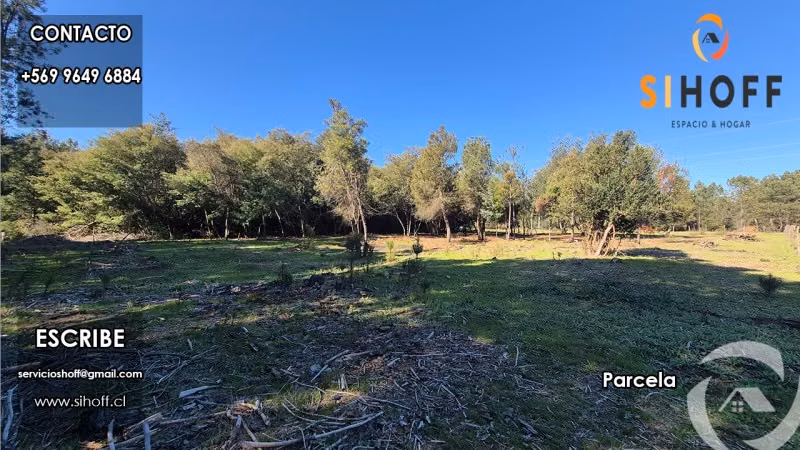 Se Vende Parcela Camino San Ignacio, Chillán - Imagen 20