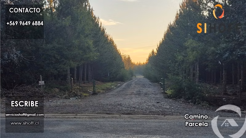 Se Vende Parcela Camino San Ignacio, Chillán - Imagen 6