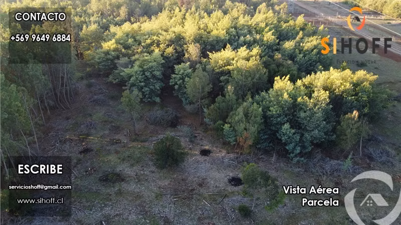 Se Vende Parcela Camino San Ignacio, Chillán - Imagen 11
